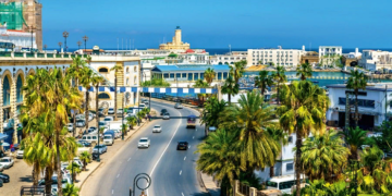 Алжир выбирает президента олимпийского и спортивного комитета