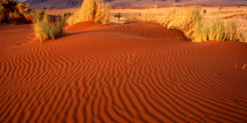 Намибия отказалась получить компенсацию от Германии