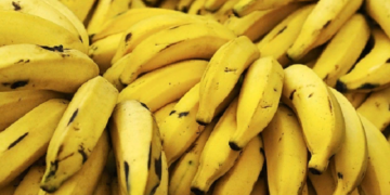 Энергию из бананов научились получать в Африке