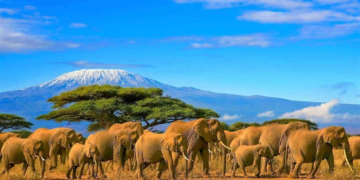 Всемирный банк одолжил Кении 75 миллиардов шиллингов для развития инфраструктуры