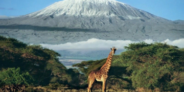 Всемирный банк одолжил Кении 75 миллиардов шиллингов для развития инфраструктуры