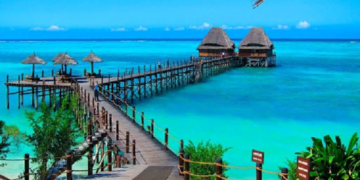 Проведение тура по Занзибару и интересные места