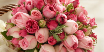 Рекомендации и критерии выбора цветов для девушки