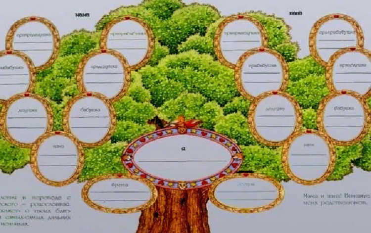 Дерево жизни 2 класс. Родословная дерево. Геологическое дерево. Семейное Древо макет. Макет родословного дерева.