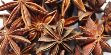 Применение аниса в приготовлении пищи и советы