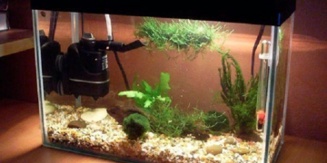 Фильтры для аквариумов: достоинства, виды, выбор