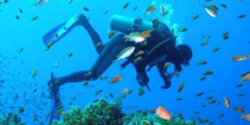 Лучшие места для занятия дайвингом на полуострове Крым