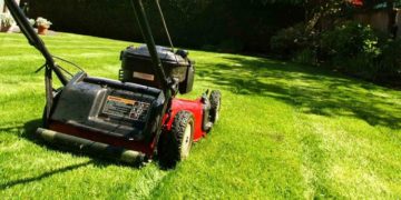 Стрижка газона: преимущества, правила и этапы процесса