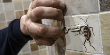 Способы и рекомендации по борьбе с тараканами