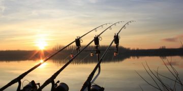 Секреты опытного рыболова: как выбрать аксессуары для ловли карпа