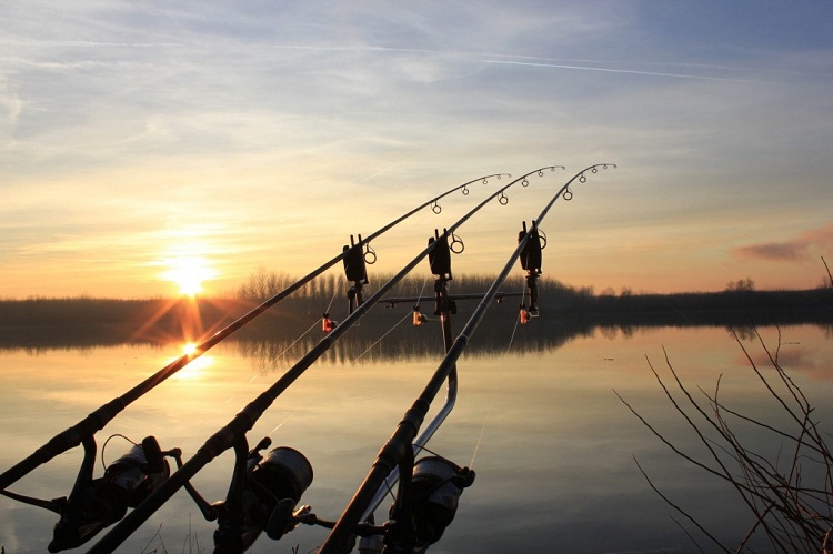 Карповые аксессуары для рыбалки: виды и критерии выбора
