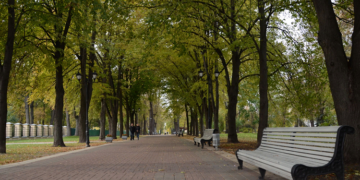 Лучшие парки Киева и их преимущества