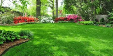 Правильный уход за газоном: выбираем дождеватель