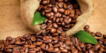Кофе в зернах: достоинства и правила заваривания