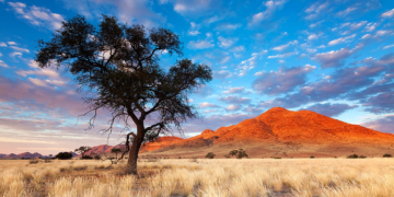 История возникновения проституции в Африке