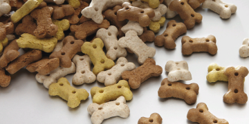 Какие бывают лакомства для собак и их преимущества