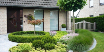 Декілька ідей озелення ділянки поряд з домом