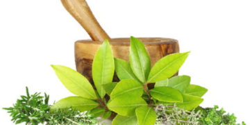 Аюрведа для відновлення кишечника: позбудьтеся проблем із травленням