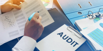 Проведение аудита компании: особенности и правила