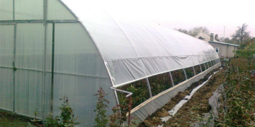 Вибір тепличної плівки для розсадників та оранжерей