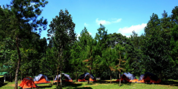 DiCamp: магазин для тих, хто прагне комфорту під час активного відпочинку