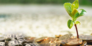 Управление денежными потоками: требования и особенности