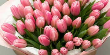 Оформление букета из тюльпанов: что нужно знать и советы
