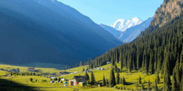 Компания KGPASS помогает оформлять гражданство в Киргизии