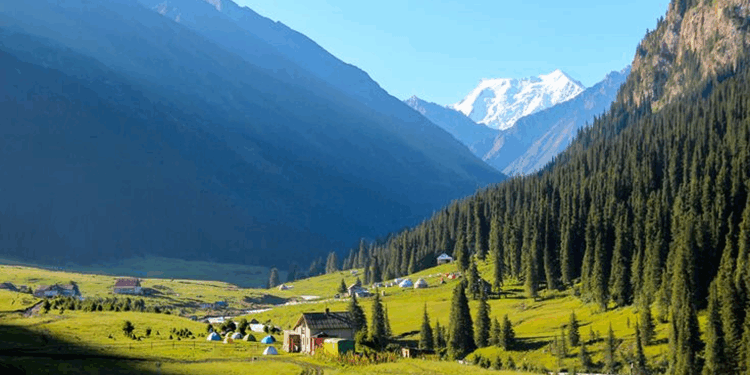 Компания KGPASS помогает оформлять гражданство в Киргизии