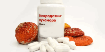 Мікродозинг грибів: властивості, переваги та використання