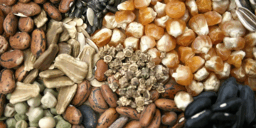 Семяныч: качество и история бренда, за которым стоит доверие