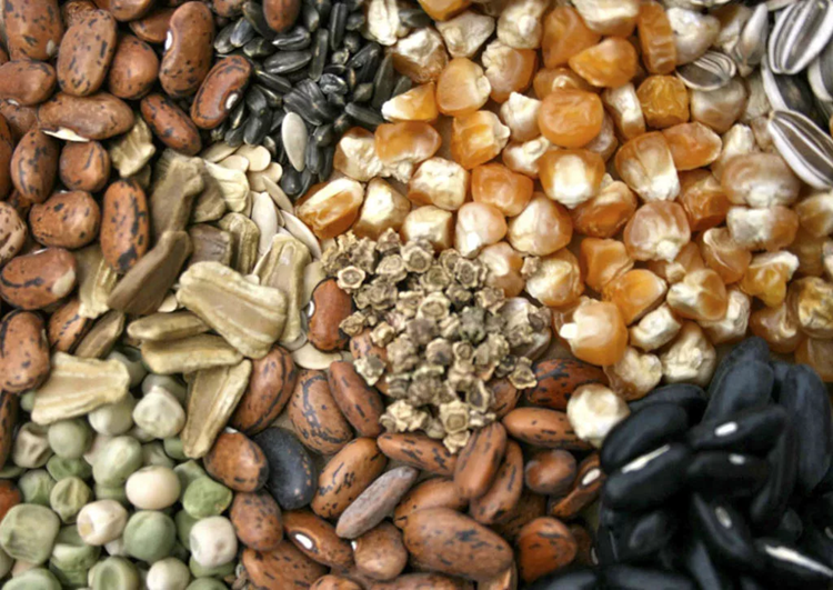 Семяныч: качество и история бренда, за которым стоит доверие