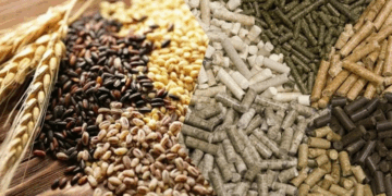 Обзор видов кормовых добавок для птиц и советы по их выбору