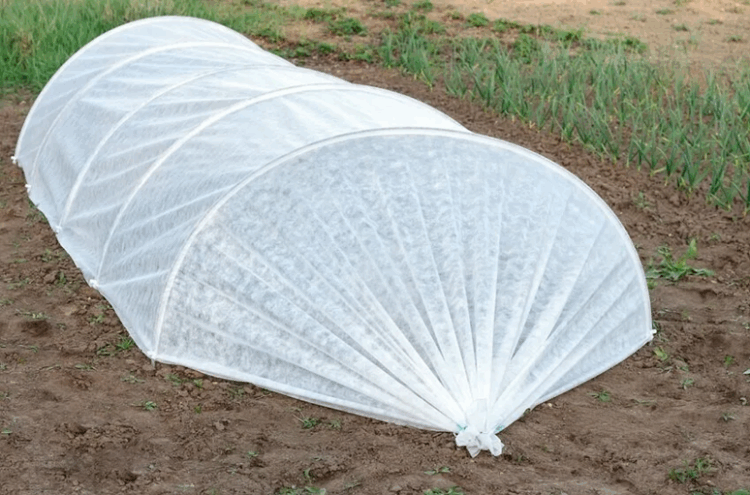 Парники из агроволокна: достоинства и установка