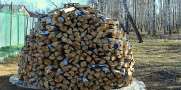 Правила заготовки и основные применения колотых дров для отопления и бытовых нужд