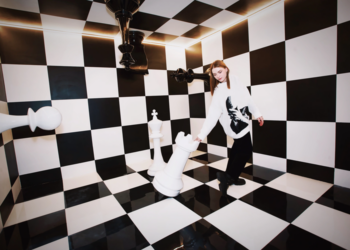 Лабиринт Алиса в Зазеркалье: достоинства и особенности выбора