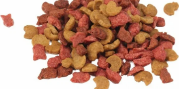 Чем порадовать питомца: лакомства для кошек в Минске