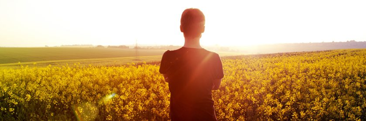 Выращивание ярового рапса: ключевые моменты для стабильного урожая