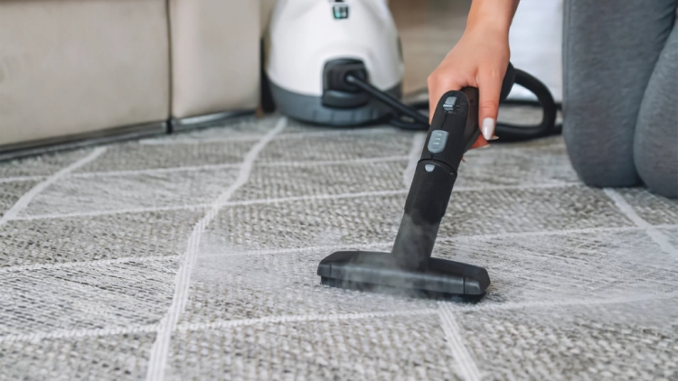 Химчистка ковров дома и в сервисе: как вывести пятна и вернуть свежесть