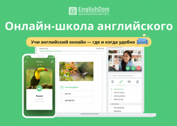 Что нужно знать о школе ENGLISHDOM и особенностях изучения английского языка