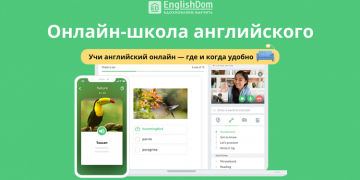 Что нужно знать о школе ENGLISHDOM и особенностях изучения английского языка