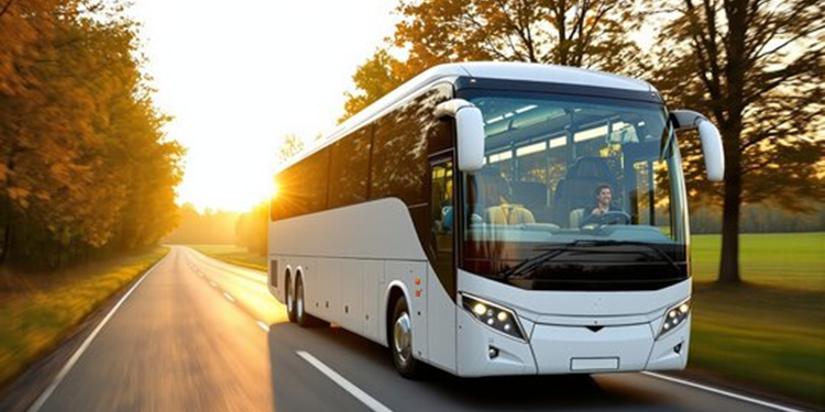 Пассажирские перевозки из Украины в Хорватию микроавтобусами класса VIP