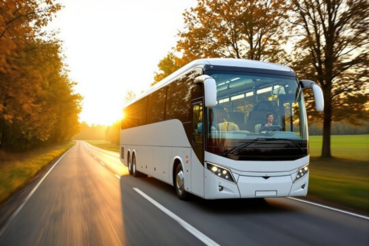 Пассажирские перевозки из Украины в Хорватию микроавтобусами класса VIP